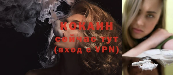 сатива Арсеньев