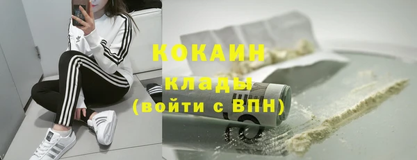 сатива Арсеньев