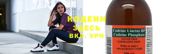 сатива Арсеньев