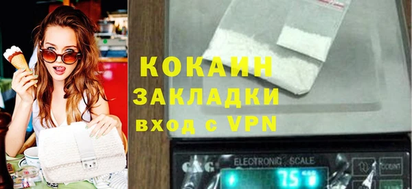 сатива Арсеньев