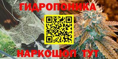 винт Пугачёв