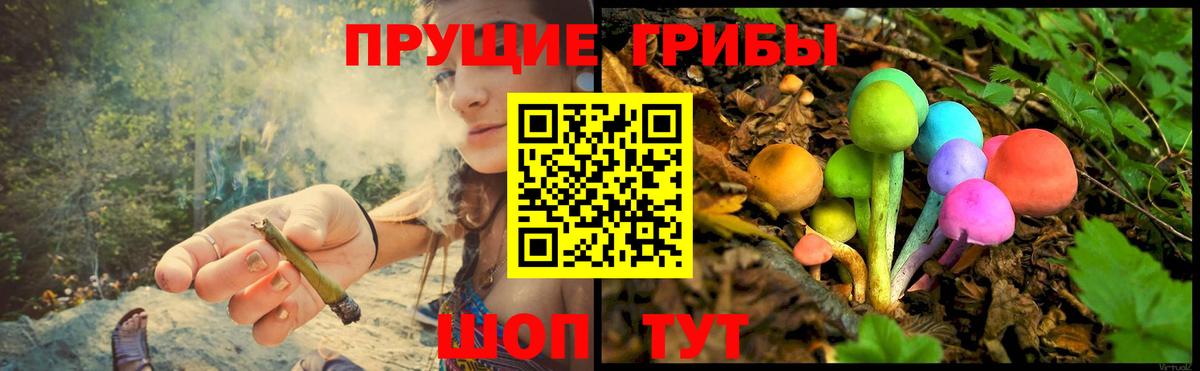 купить закладку  Вход с VPN  Чусовой  Галлюциногенные грибы мицелий 